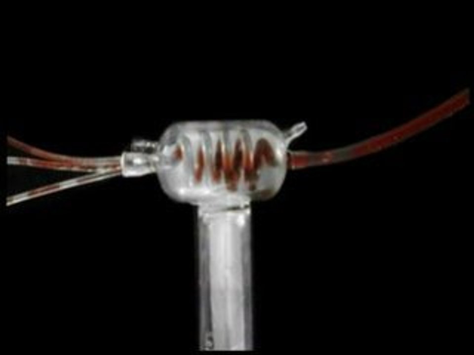 Die Prozedur / Jonas Ungar