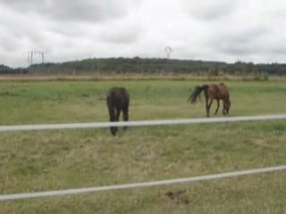 Dhéa et Chouf au paddock