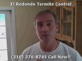 Free Termite Inspection in Hermosa Beach El Redondo ...