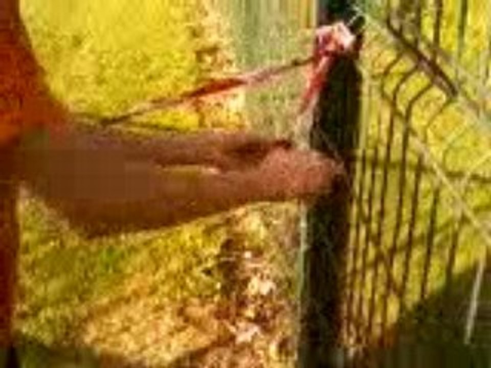 Vidéo-0007