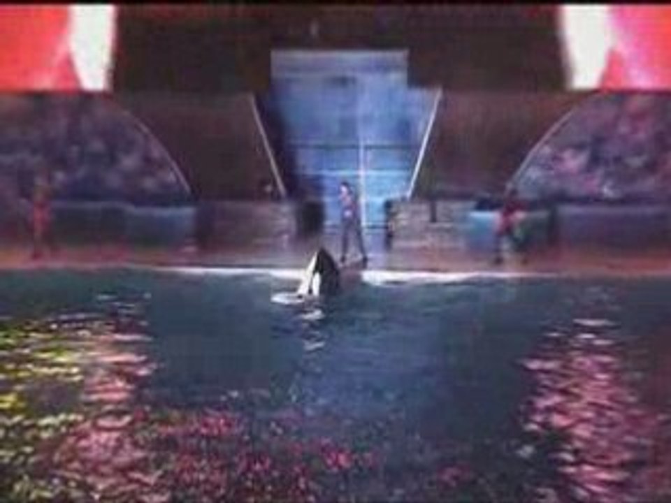 Shamu Rocks at SeaWorld San Diego