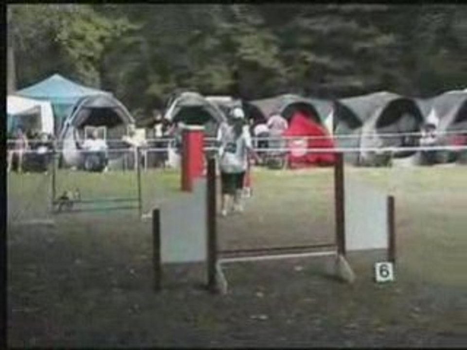 Jumping dourdan 31 aout 2008