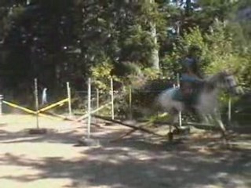 entrainement galop 3