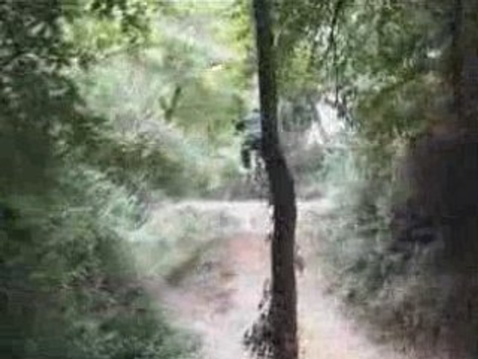 trail du burck