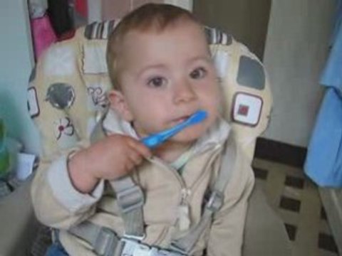 N'oubliez pas votre brosse à dents (à dents)