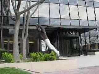 Quelques anciennes séquences