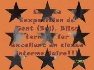 Bliss du Val des petits génies 2