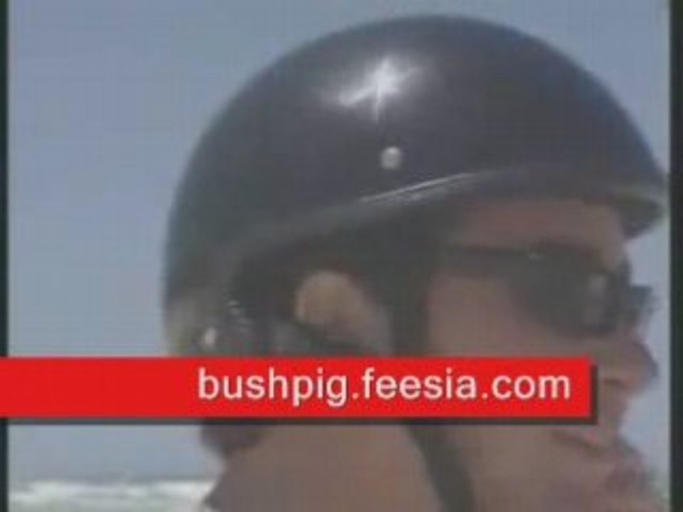 Brand new bushpig wheelman outback for $599 segway