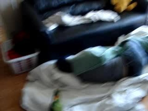 Maverick gets humped