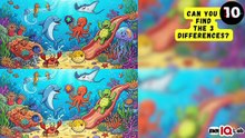 #OnlyOnePercent ✋️😏 Can You Find the 3 Differences? (Part 8) 🧐
