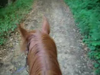 Balade à cheval