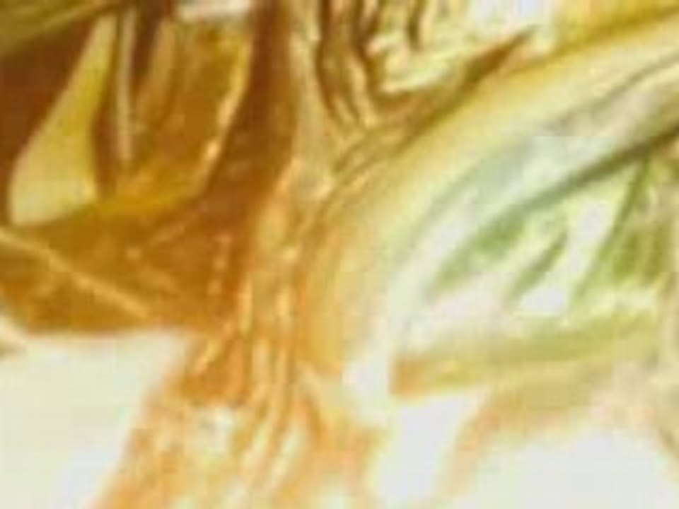 FF VII : CC - Bahamut Retsu (Furie) (complète)