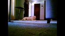 My dog - My pal