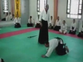 STAGE aikido avec Nebi vural sensei en tunisie  PUB