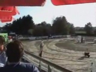 Chivas Welkenraedt 1m