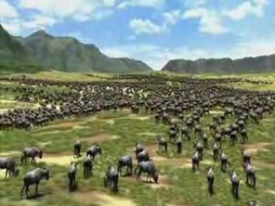 montage afrika