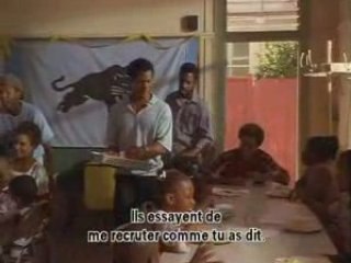 Panther 3/7 vost fr (black panther party )