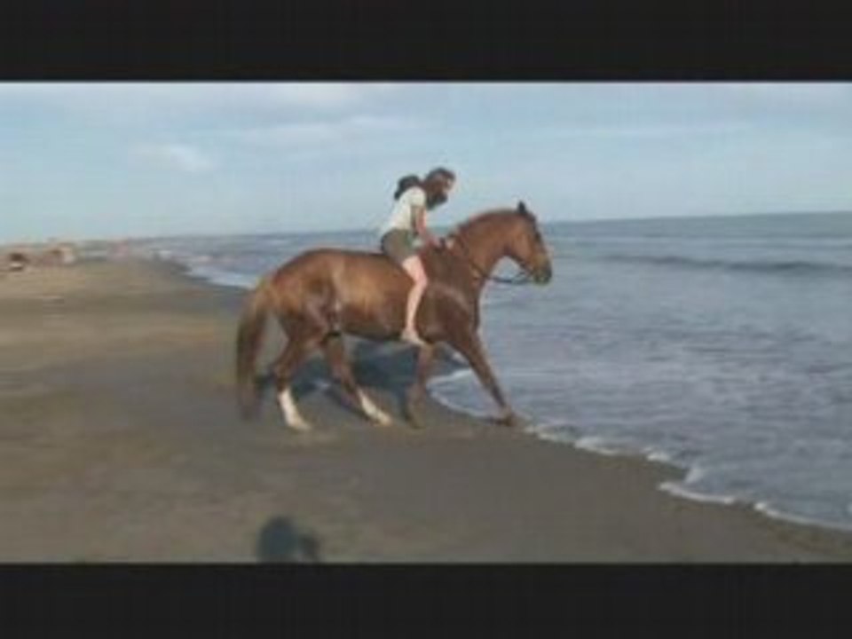 La camargue, Les Saintes