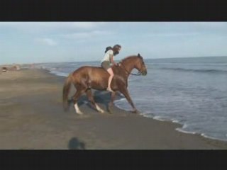 La camargue, Les Saintes