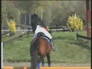 Brevet obstacle