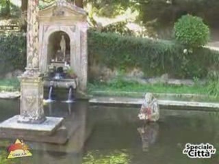 Serra S. Bruno 2008 - Cz