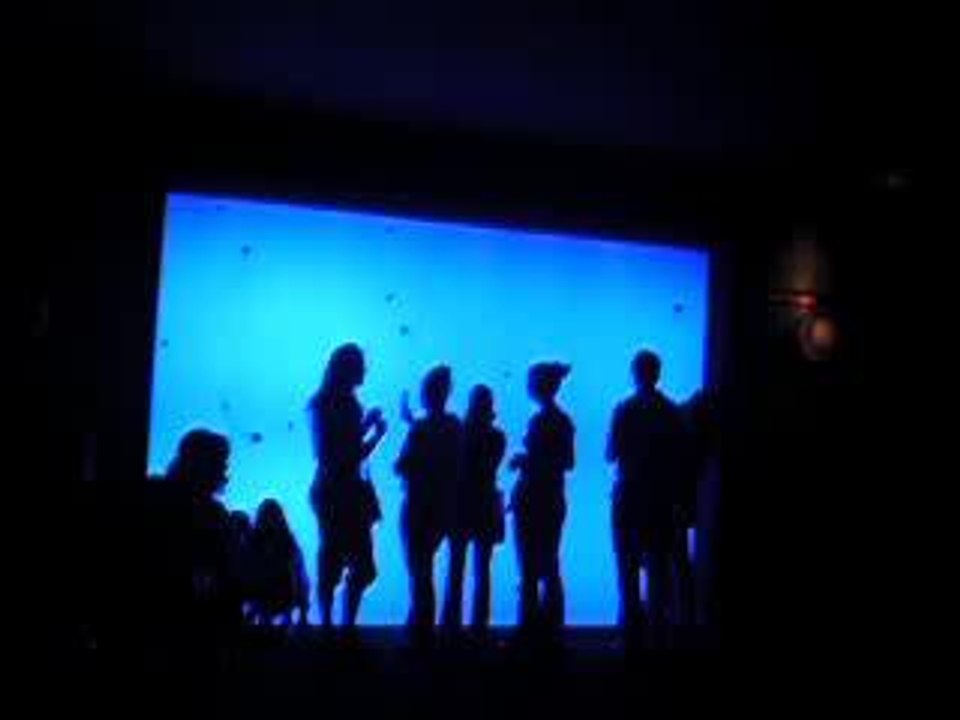 aquarium