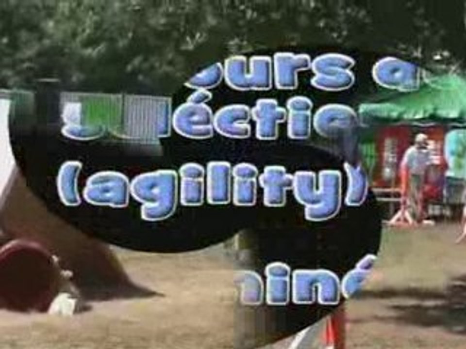 Créole NE berger belge