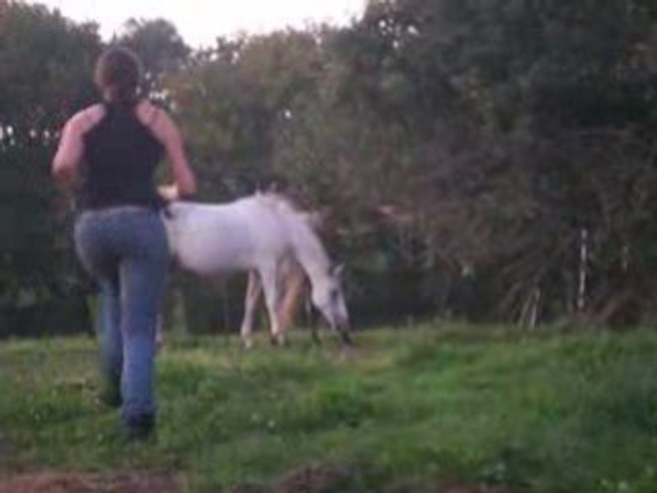 Tita au galop