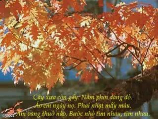 NGÀY XƯA HOÀNG THỊ - tiếng hát Thái Thanh