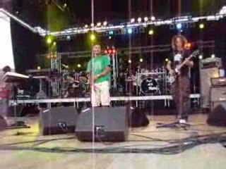 festival des verts solidaire En roots