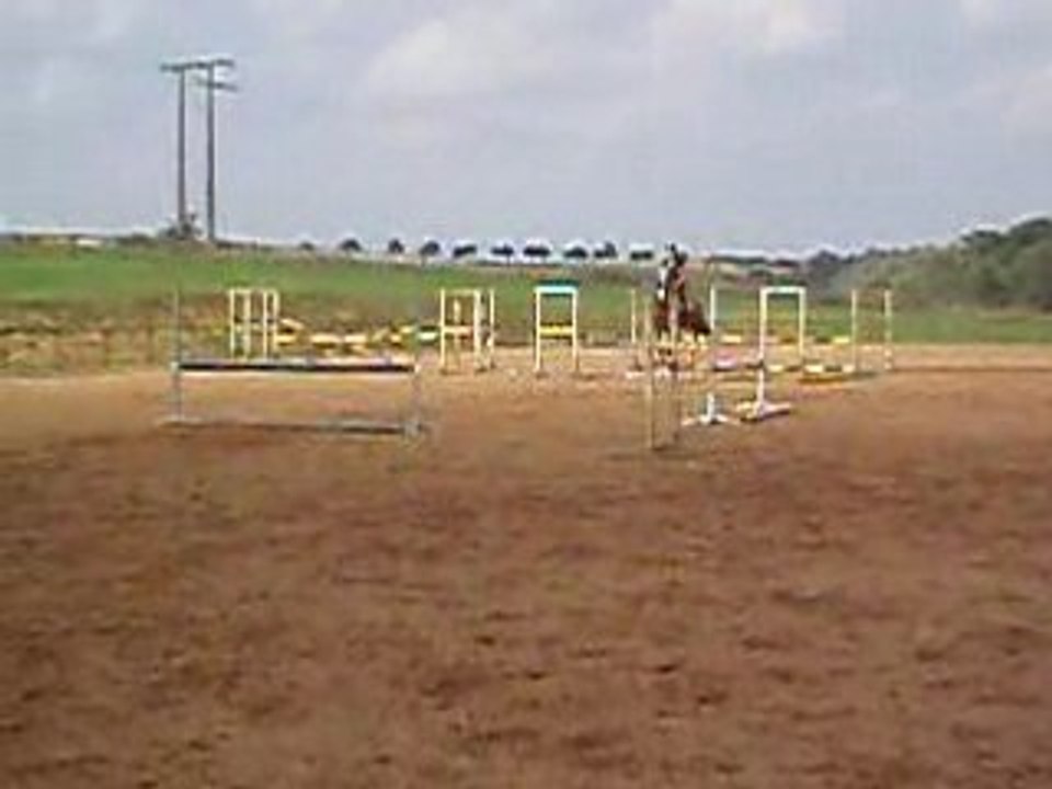 Newton 2