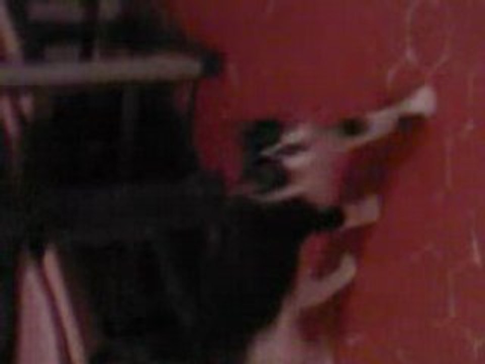 keita en plein delire