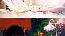 The Graceful and Perfect Thu Thu
