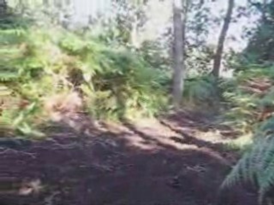VIDEO PETIT SAUT ET FIGURES