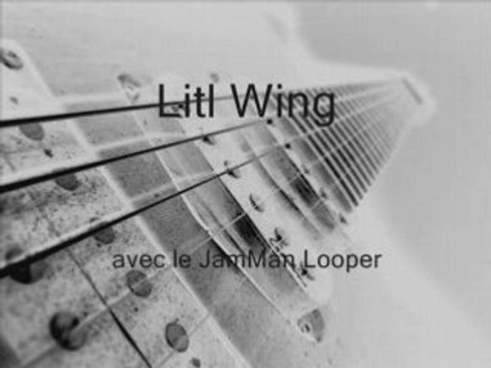 Little Wing