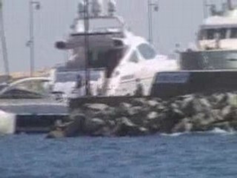 Yacht3
