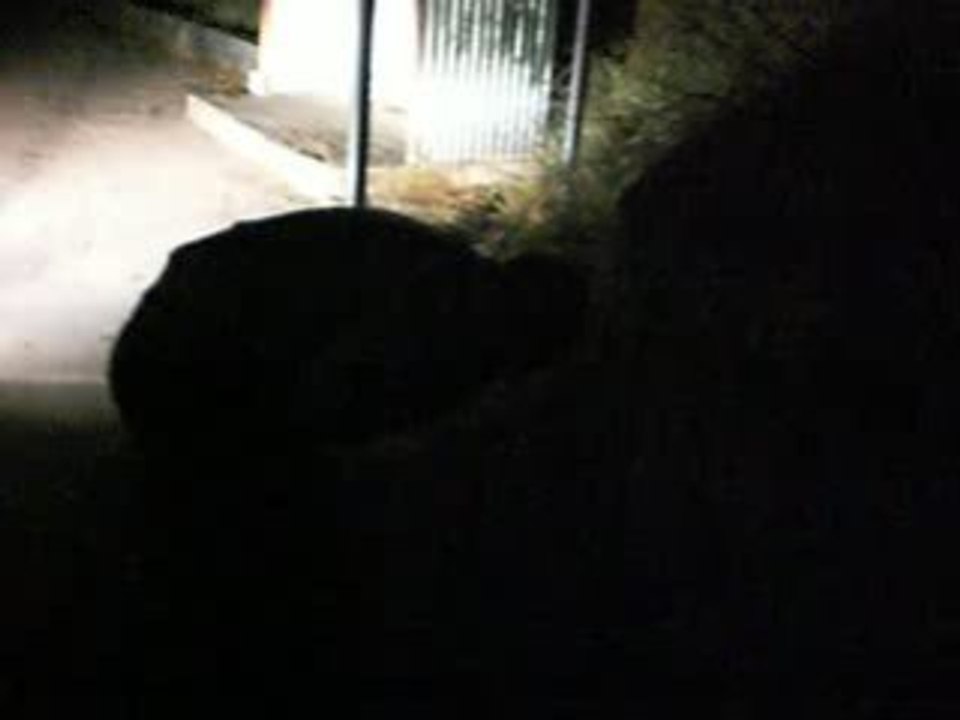 Magnifique Raph magnifique !!!