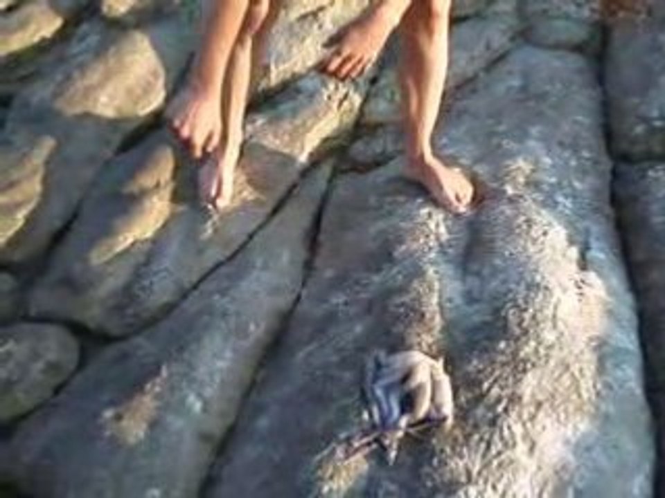 chasse au poulpe
