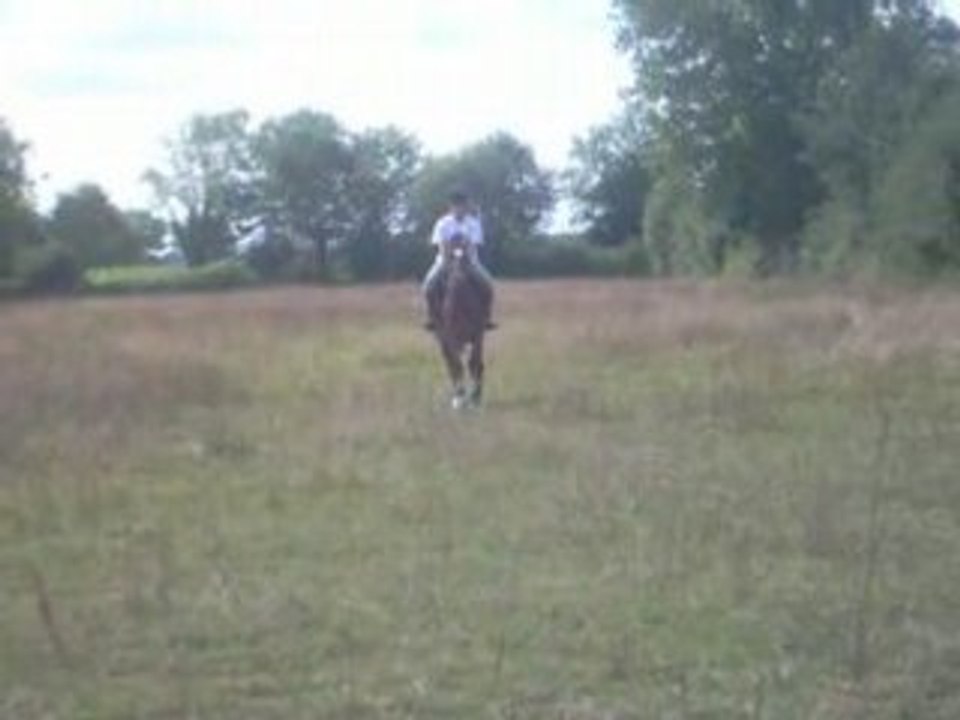 AU GALOP