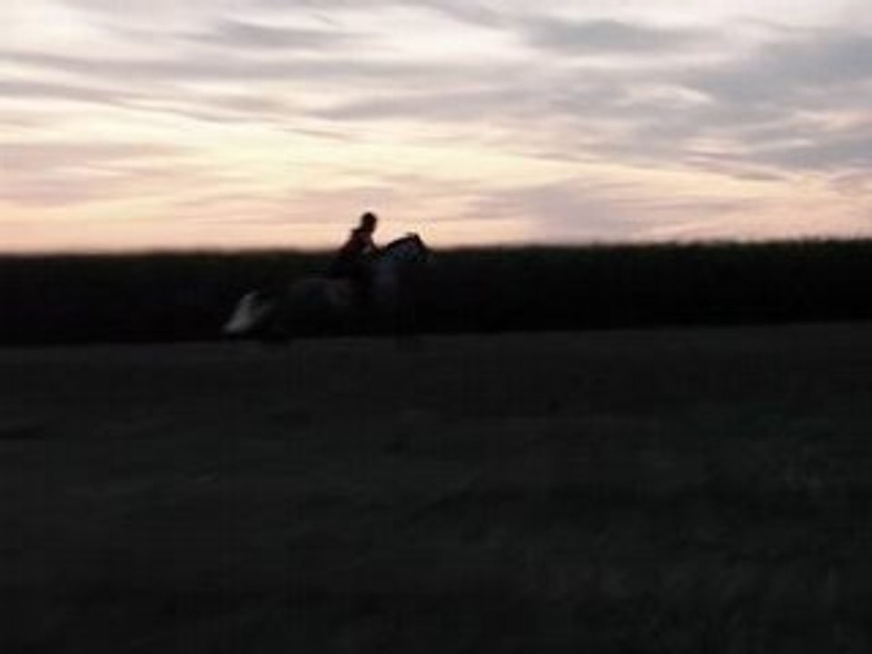 Opium de Gennes dans les chaumes