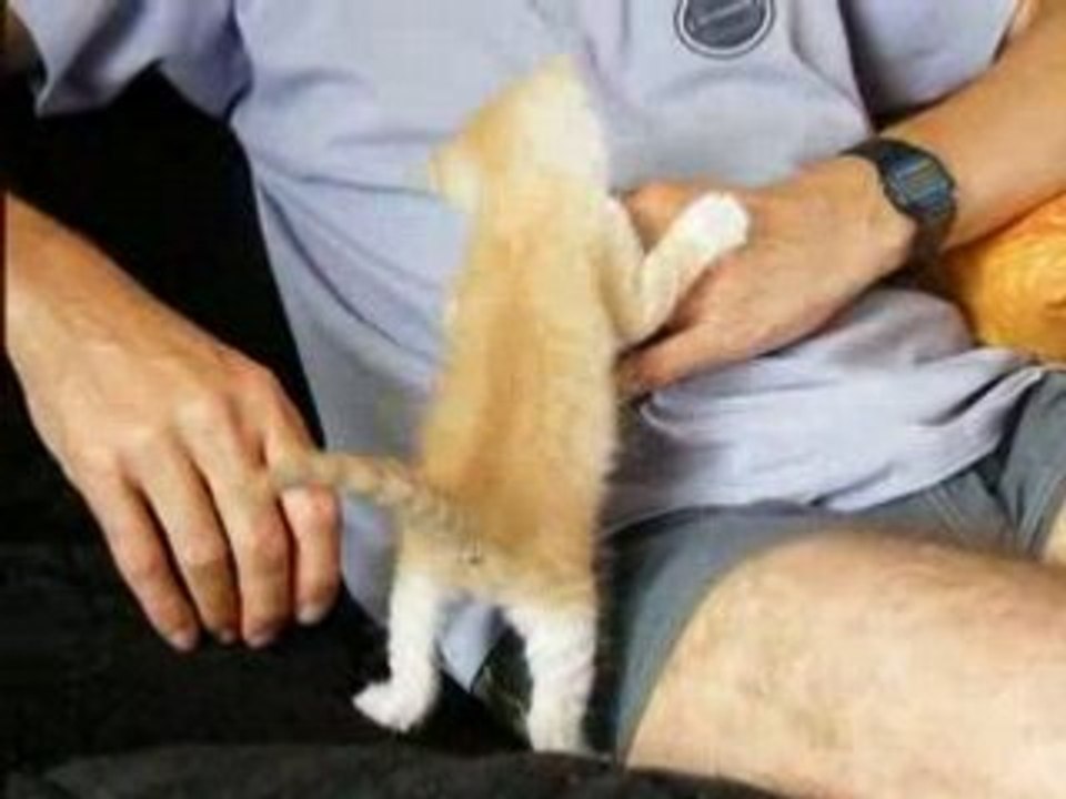 Videos 31-08-08 030