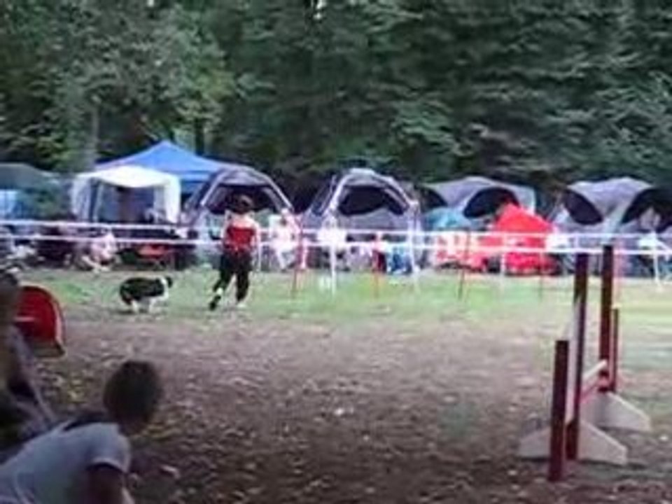 Parcours agility 31 aout 053