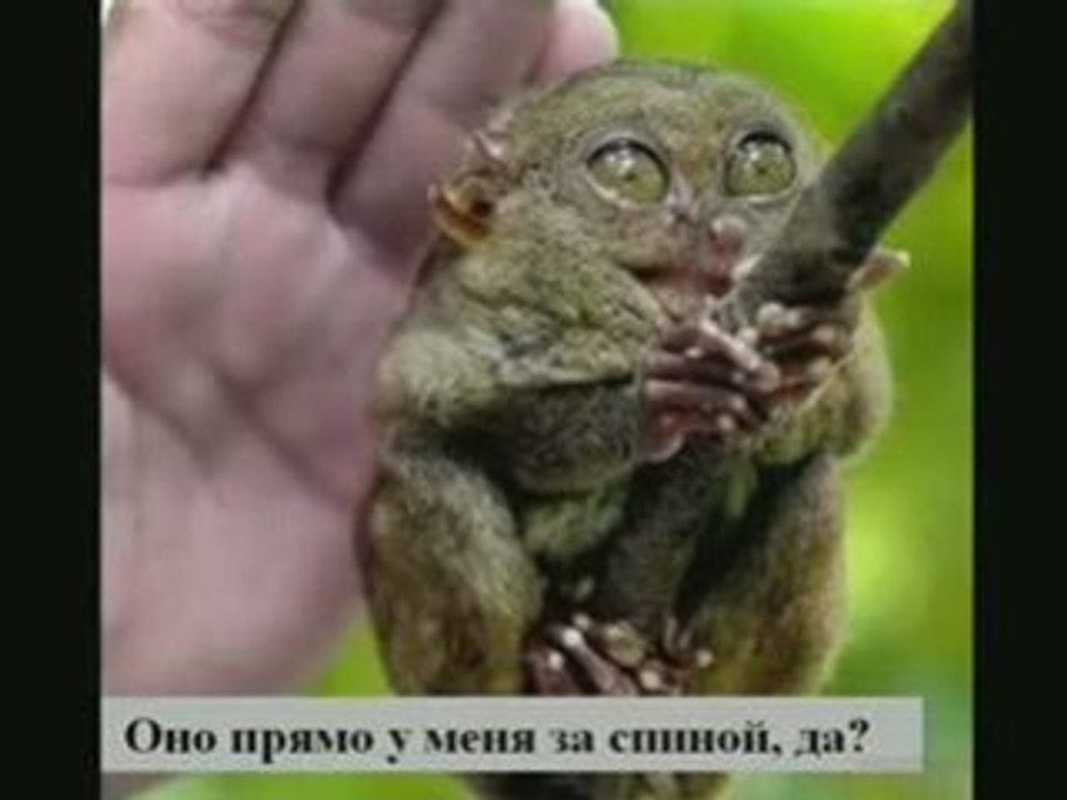 Если кажется, что  все плохо