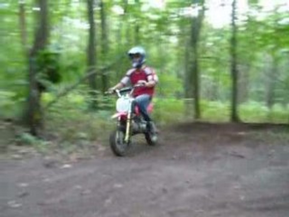 session greg alex blp