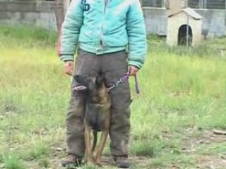 petit apeçu entraînement ring