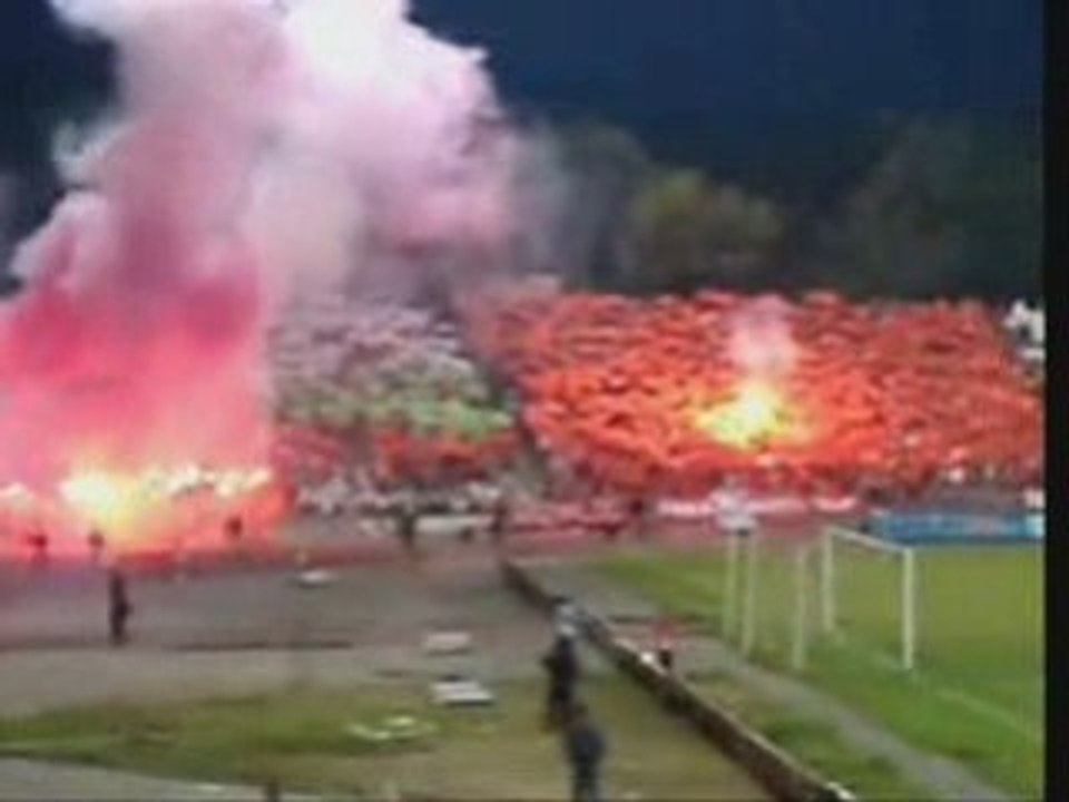 Bulgarian Ultras and Hools