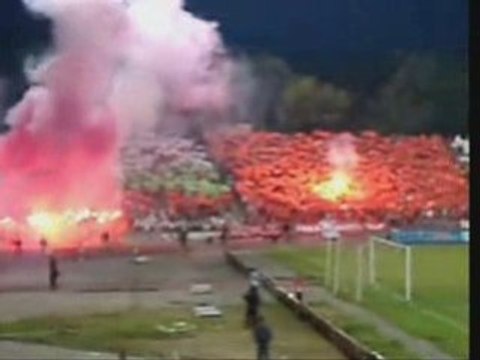 Bulgarian Ultras and Hools