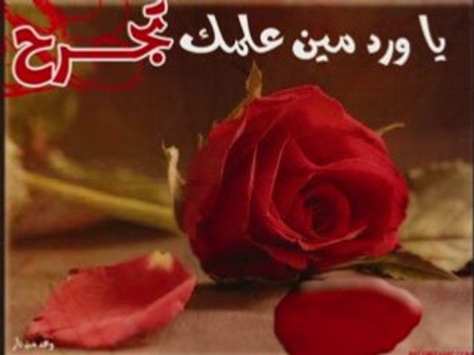 As3b_hob
