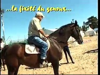 Equilibre du cavalier a l'obstacle (d'Orgeix)