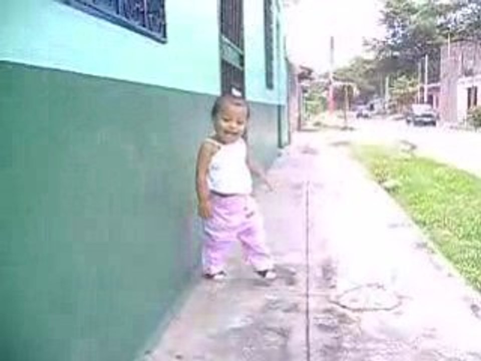 Pollito_walk